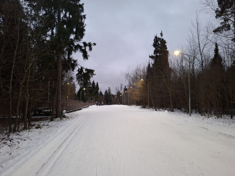 Трасса лыжероллерная Зеленоград Савелки, состояние на 20 декабря 2025 по отзыву, фото 2. 